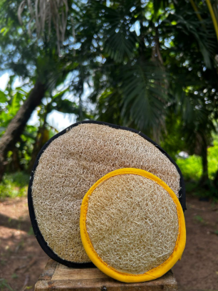 Duo Lufah corps et visage